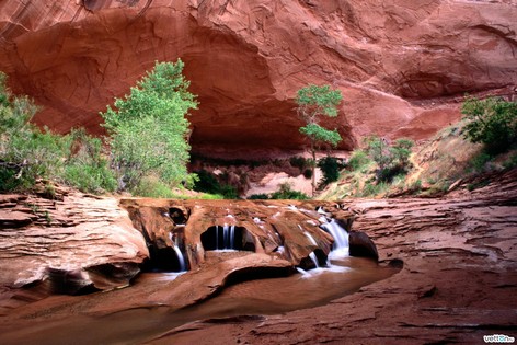 ������� ������